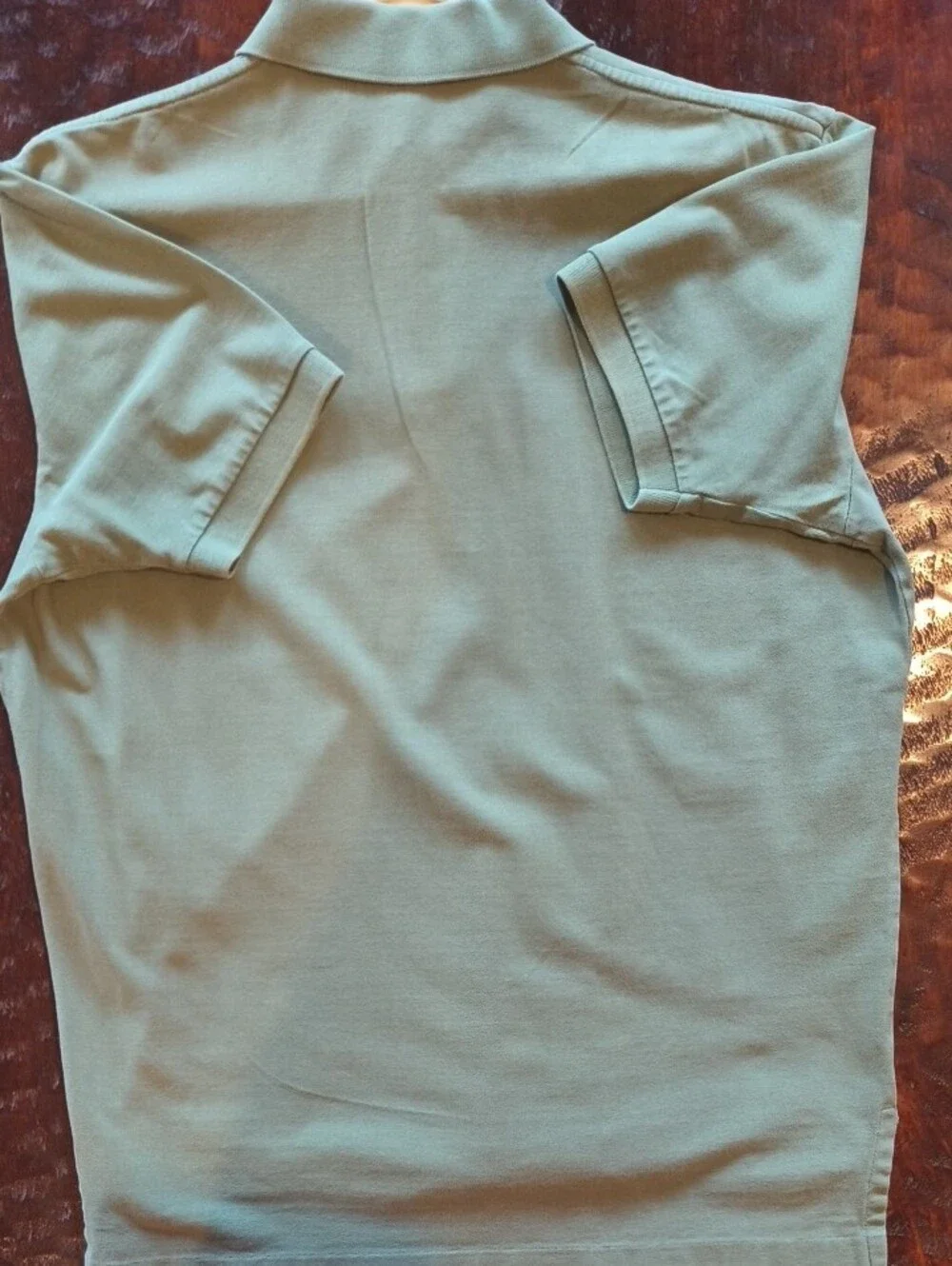 Ralph Lauren Men's Polo in Olive with Red Logo Medium